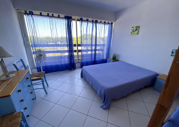 Apartament 2 Pieces Avec Piscine Et Parking A Port Camargue - Fr-1-250-113